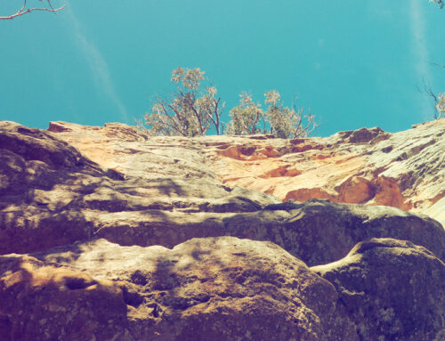 Blue Mountains – Mount Victoria