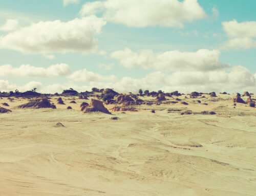 Mungo National Park