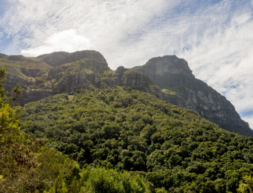 Skeleton Gorge & Nursery Ravine Hike